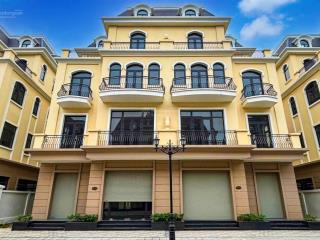 Bán căn biệt thự song lập 150m2 vị trí gần tttm vincom. tặng thêm xe ô tô vinfast vf3