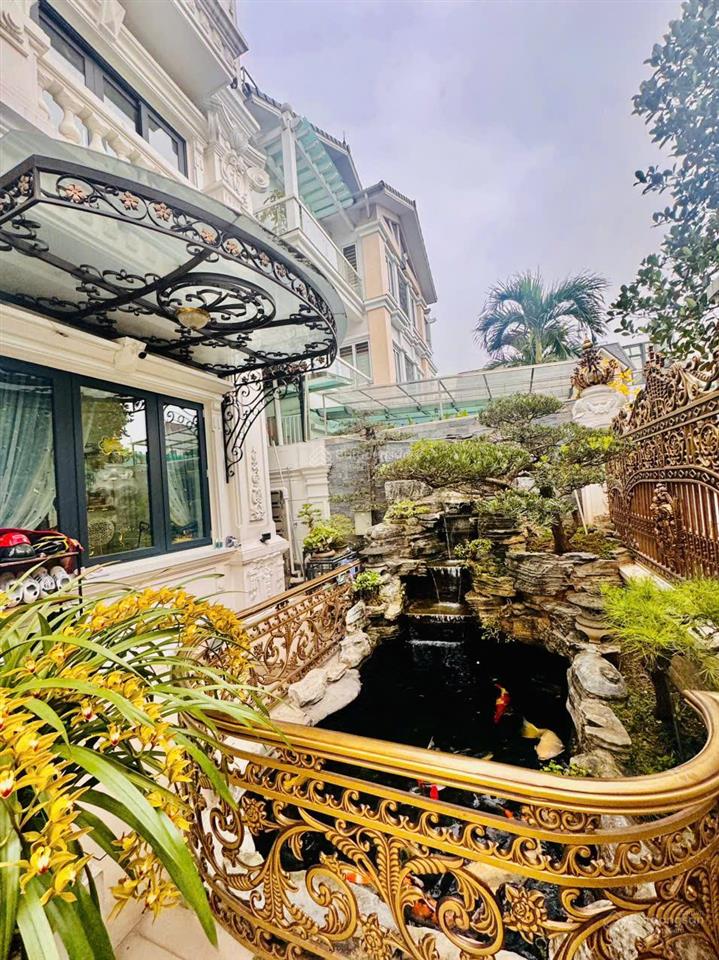 Siêu phẩm biệt thự tân cổ điển, góc mt 31m 4,5 tầng, thang máy fun đồ xịn từ trong ra ngoài