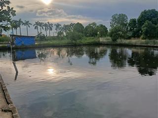 Bán 4500m2 đất đông thọ phù hợp làm trang trại khu nhà vườn nghỉ dưỡng, phân lô làm kho xưởng