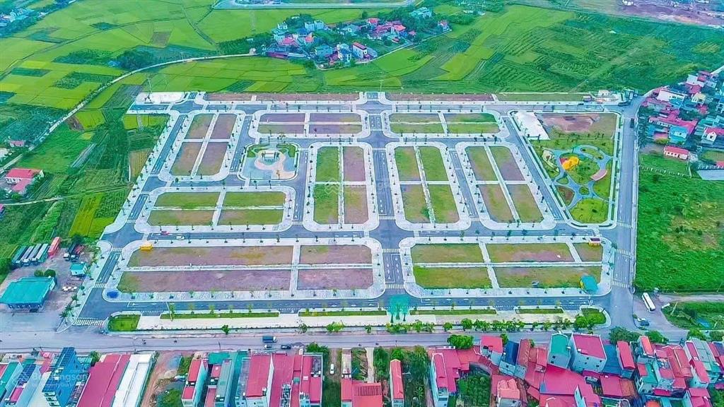 Cơ hội đầu tư vàng đất tân hưng giá chỉ 16 triệu/m