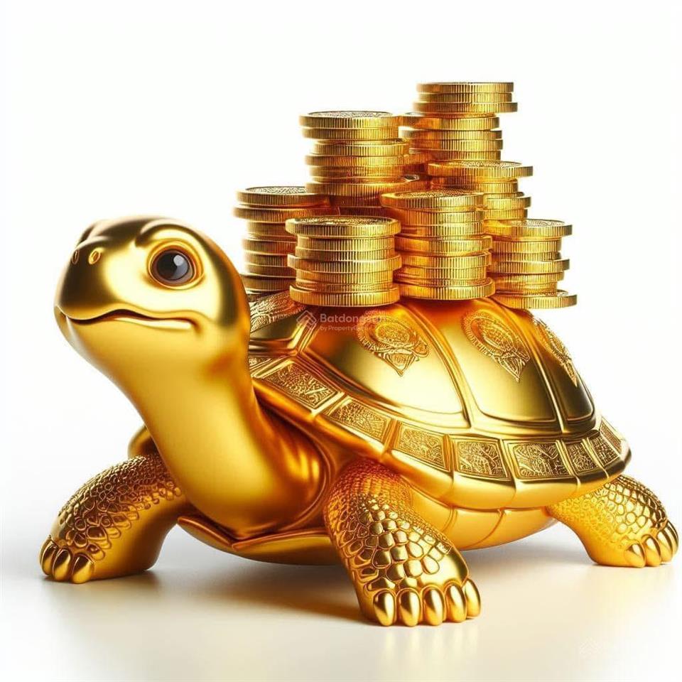 " bán đất nền khu đô thị rùa vàng tây vôi  lạng giang, bắc giang