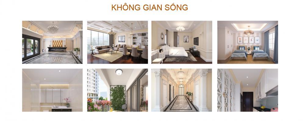 " bán đất nền khu đô thị rùa vàng tây vôi  lạng giang, bắc giang