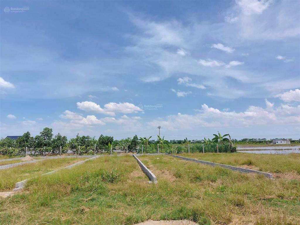 Đất đấu giá minh tân, phú xuyên sẵn sổ, đường thông tứ phía, giá chỉ 24, x tr/1m cho ace đầu tư