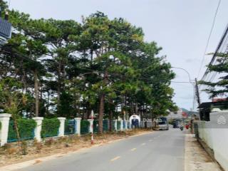 Bán lô đất mặt tiền đường lớn, thông xanh quanh nhà 443m2 thổ cư ngang 13m tại tp đà lạt