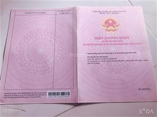 Bán đất mặt tiền 6m, đường bờ chùa xã phước hậu, h cần giuộc, t long an