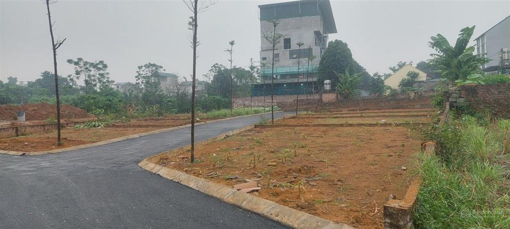 Chính chủ bán đất sổ đỏ sát đường dh09 đông yên.