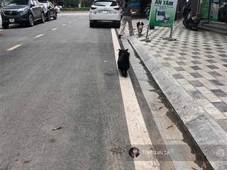 Bán đất 675 lạc long quân 155 m2 mặt tiền khủng phân lô ô tô hàng xóm lotte tây hồ