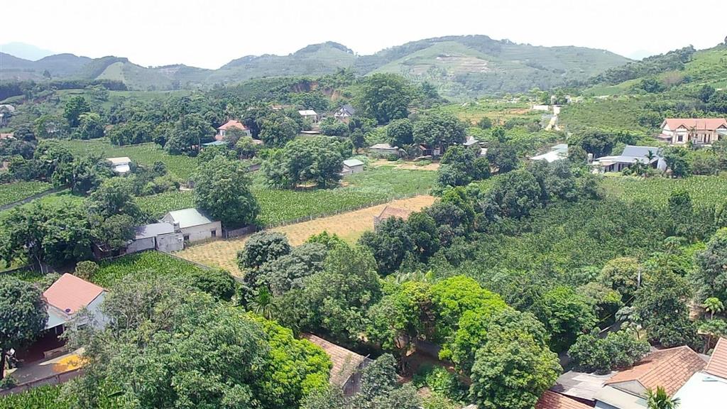 Cần tiền bán gấp 2 lô đất bám mặt hồ. mỗi lô 1000m2. giá đầu tư