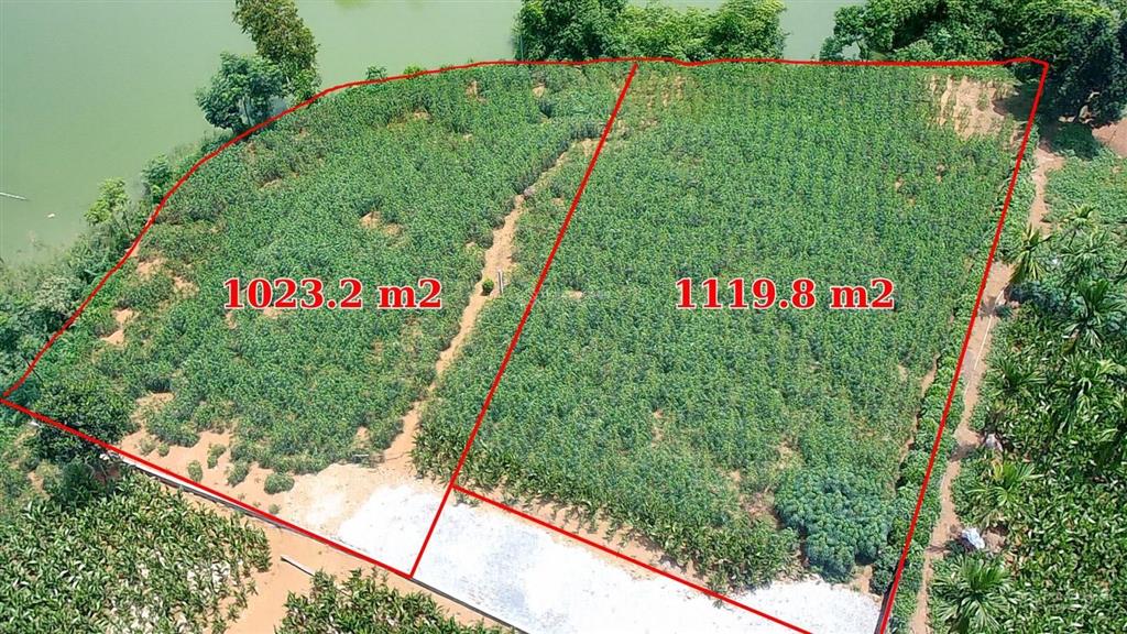 Cần tiền bán gấp 2 lô đất bám mặt hồ. mỗi lô 1000m2. giá đầu tư
