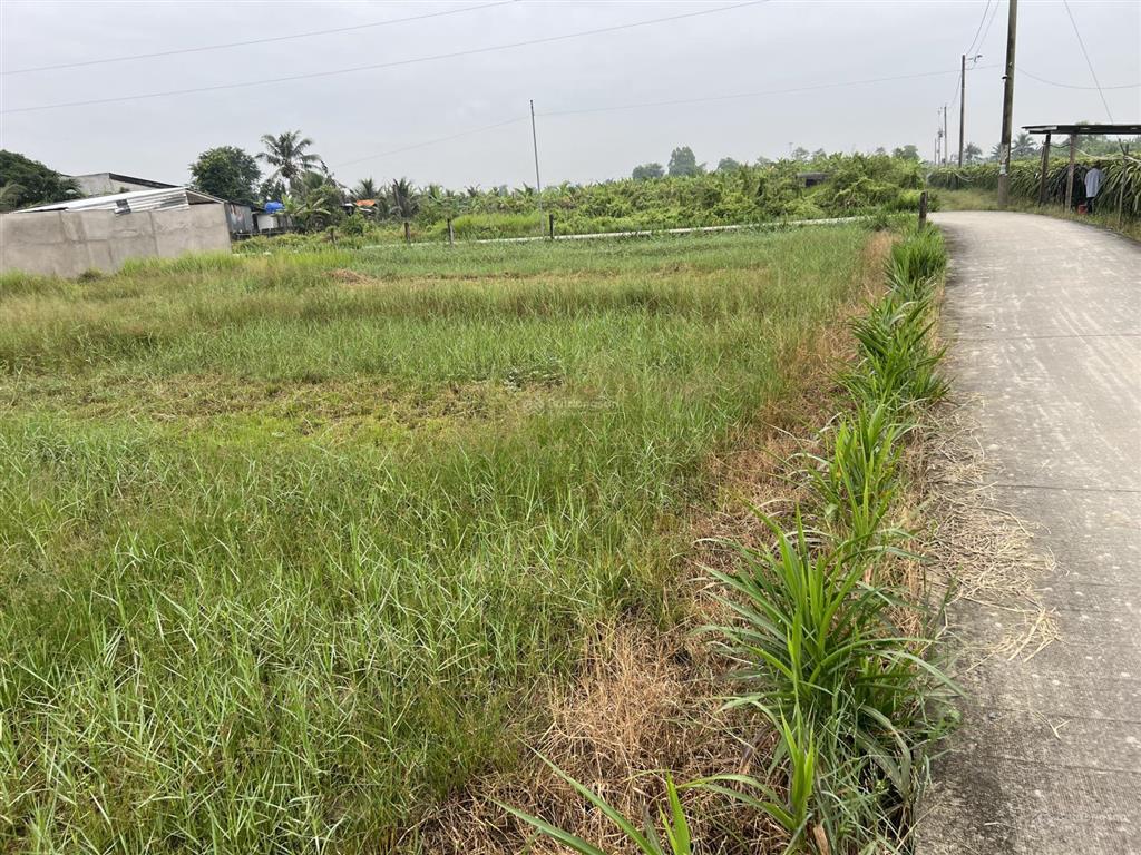 Cần bán gấp nền đất mặt tiền đường ô tô