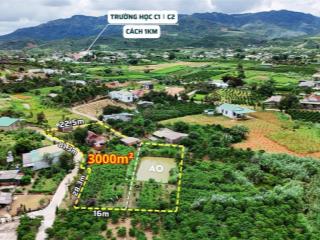 Đất vườn nghỉ dưỡng giá rẻ bảo lộc, có sẵn thổ cư, vườn cây, ao cá, gần khu vực dân cư, trường học