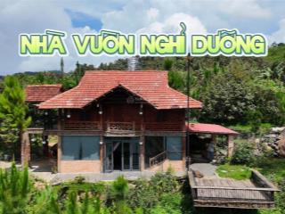 Bán nhà vườn nghỉ dưỡng, view săn mây, ngắm bình minh hoàng hôn đẹp & yên bình 6588m² có 400 thổ cư