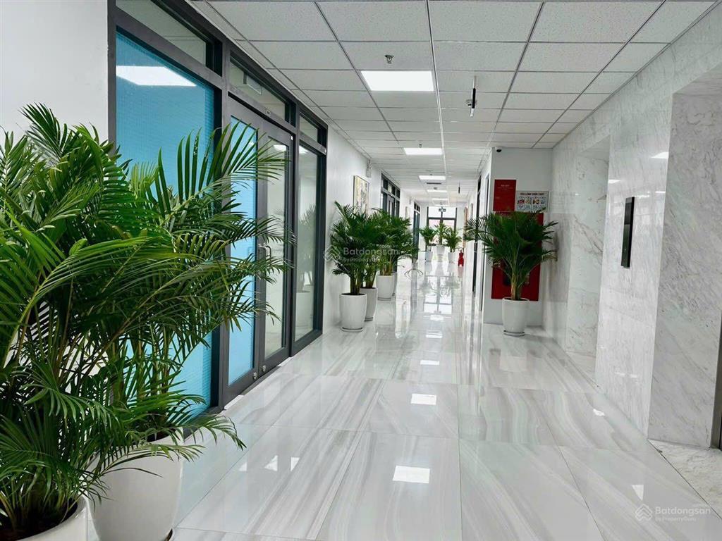Bql cho thuê văn phòng tại tòa taisei square hanoi  289 khuất duy tiến, dt 216m2