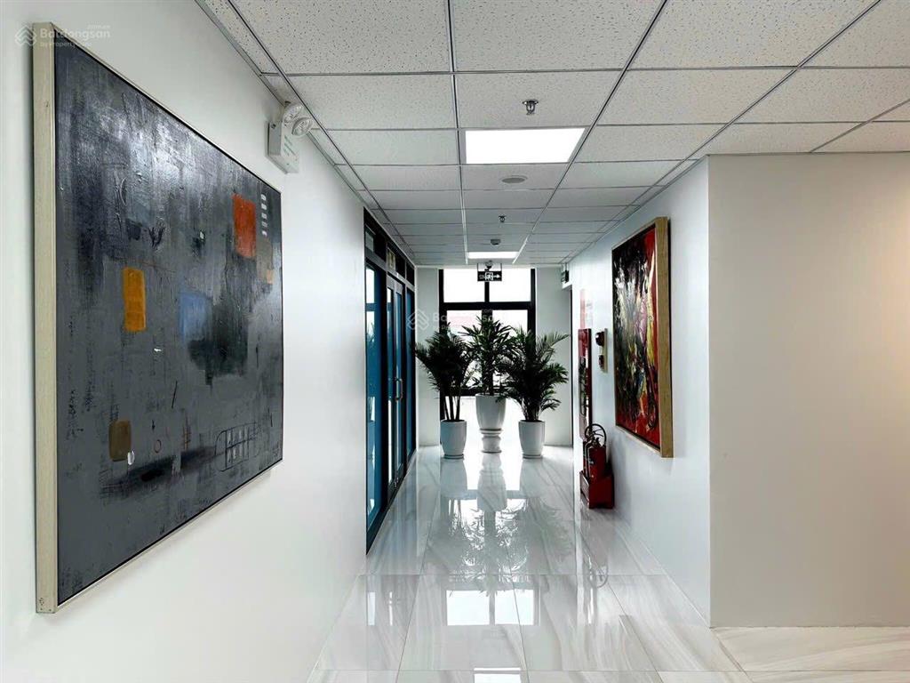 Bql cho thuê văn phòng tại tòa taisei square hanoi  289 khuất duy tiến, dt 216m2