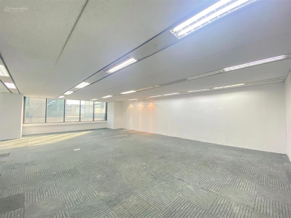Bql cho thuê toà nhà văn phòng charmvit tower, số 117 trần duy hưng, dt 250m2, 300k/m2/th