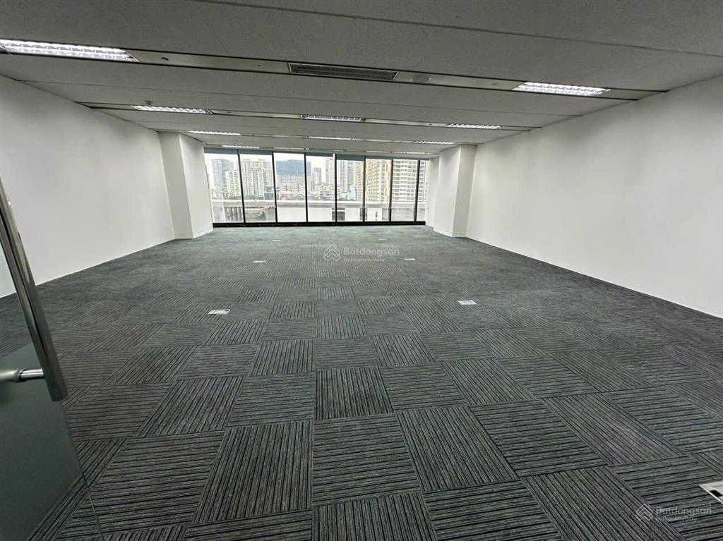 Bql cho thuê toà nhà văn phòng the zei plaza dt 200m2, giá thuê 150k/m2/th