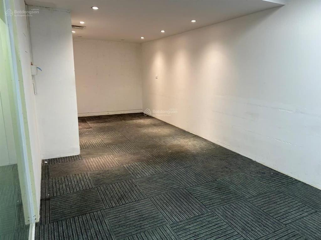 Bql cho thuê toà nhà văn phòng the zei plaza dt 200m2, giá thuê 150k/m2/th