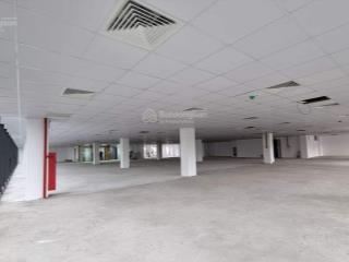 Bql cho thuê toà văn phòng thái nam building số 22d dương đình nghệ  dt 100,200,500,1000m2