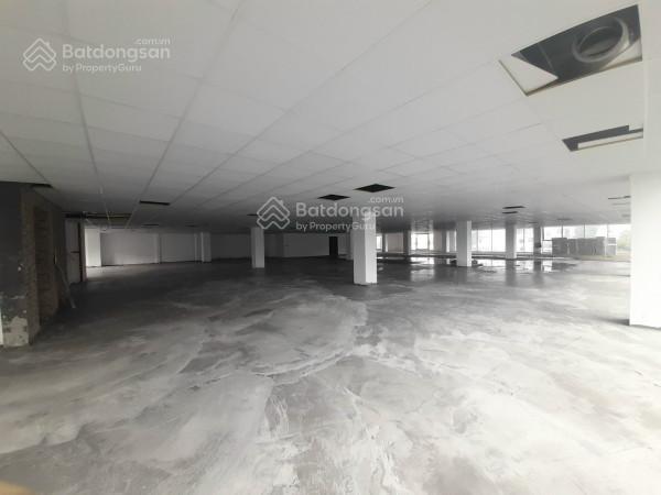 Bql cho thuê toà văn phòng thái nam building số 22d dương đình nghệ  dt 100,200,500,1000m2