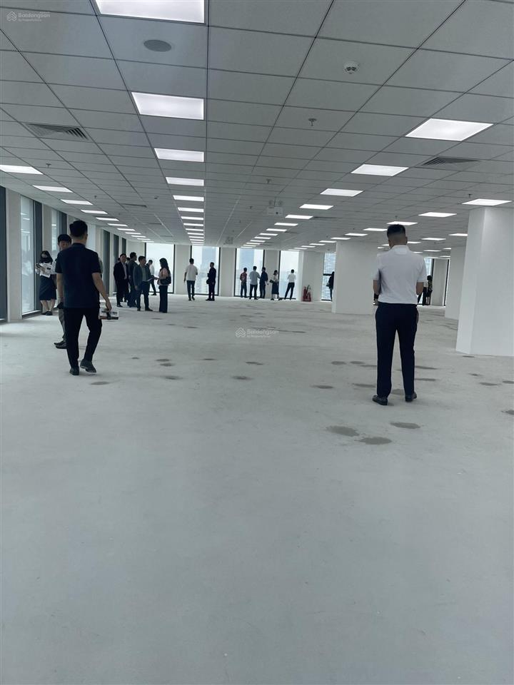 Bql cho thuê vp tòa ninety complex 90 đường láng dt 200m² giá 313.584đ/m2/th