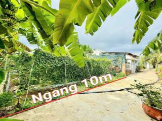 Bán đất Bình Lộc full thổ cư ngay trung tâm dân cư thôn Đảnh Thạnh