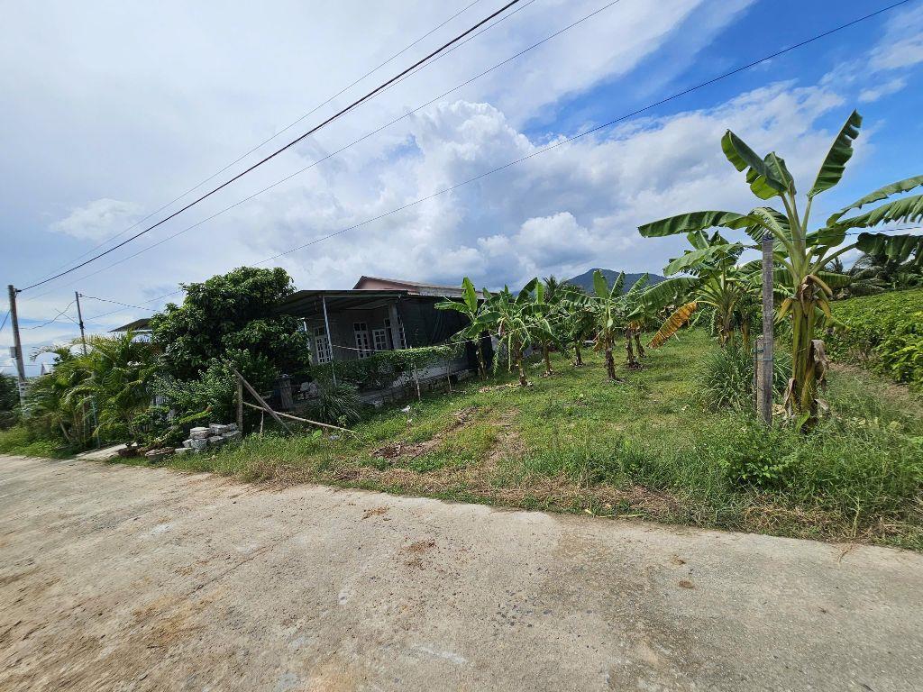 Bán đất Suối Tiên thôn Gò Mè đường thông - đất full thổ cư phù hợp đầu tư xây nhà an cư