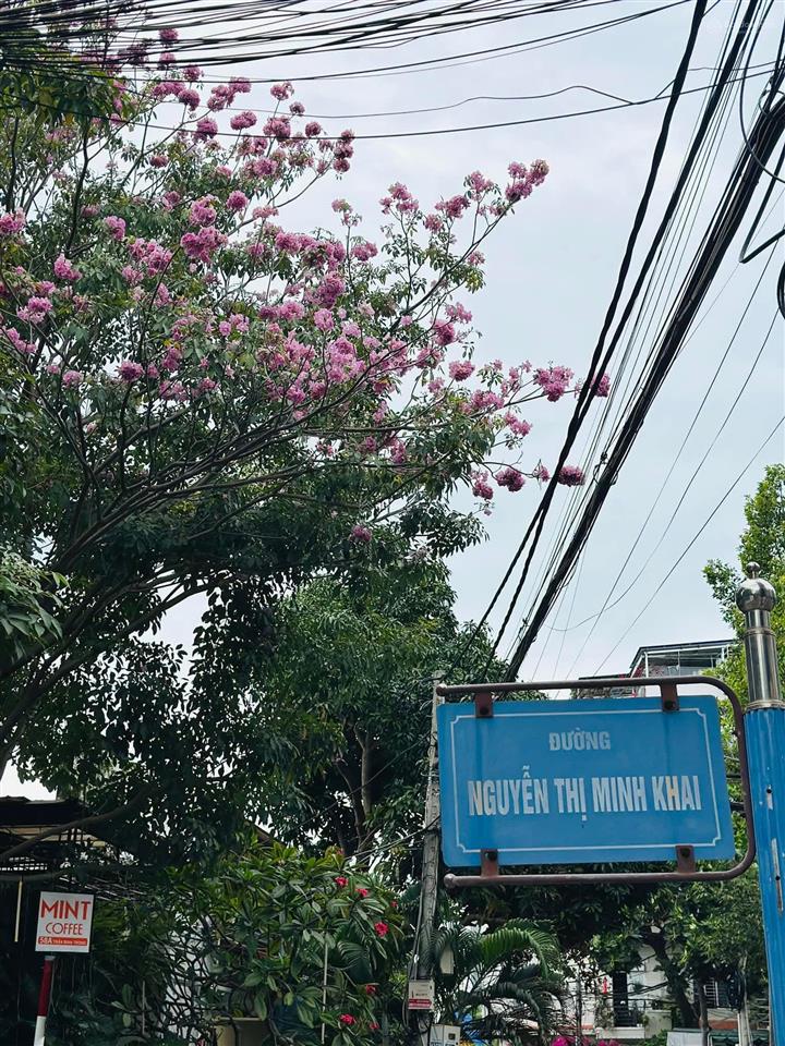 Bán đất lô mặt tiền 152m2 đường nguyễn thị minh khaivũng tàu, chỉ cách tháp tam thắng 1km.