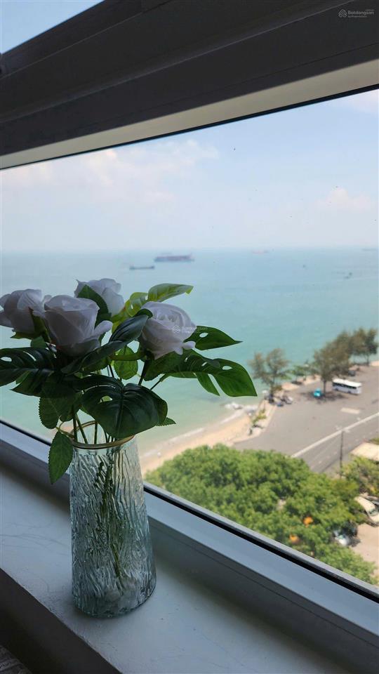 Bán căn hộ studio  chung cư mermaid seaside vũng tàu, 35m2, view trực diện biển. giá 1tỷ550