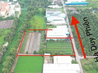 Bán đất lớn 4100m2 thổ cư bình mỹ, củ chi. 43,5 tỷ