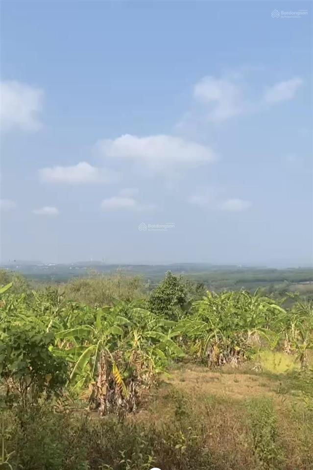 Siêu phẩm duy nhất gần quốc lộ 20, 60000m2 đất bán giá siêu hời