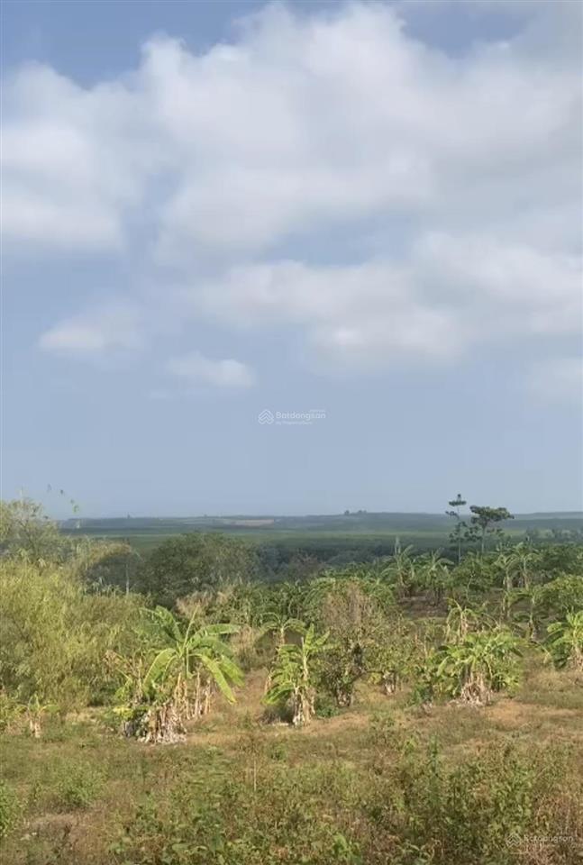 Siêu phẩm duy nhất gần quốc lộ 20, 60000m2 đất bán giá siêu hời