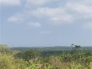 Siêu phẩm duy nhất gần quốc lộ 20, 60000m2 đất bán giá siêu hời