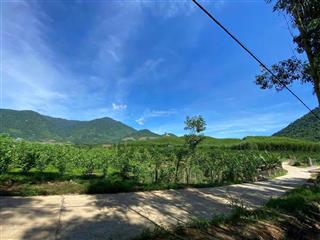 Bán nhanh vườn trái cây khánh trung khánh vĩnh đẹp đường ô tô tận nơi  tiện ích đầy đủ