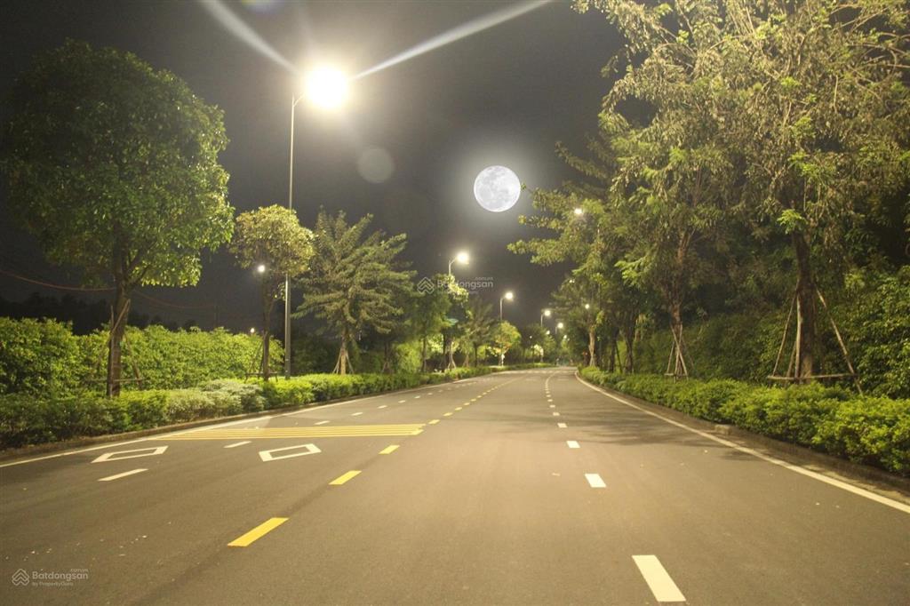 Bán biệt thự mặt hồ 10x20m id juntion long thành hàng hiếm, vị trí ngay mặt hồ