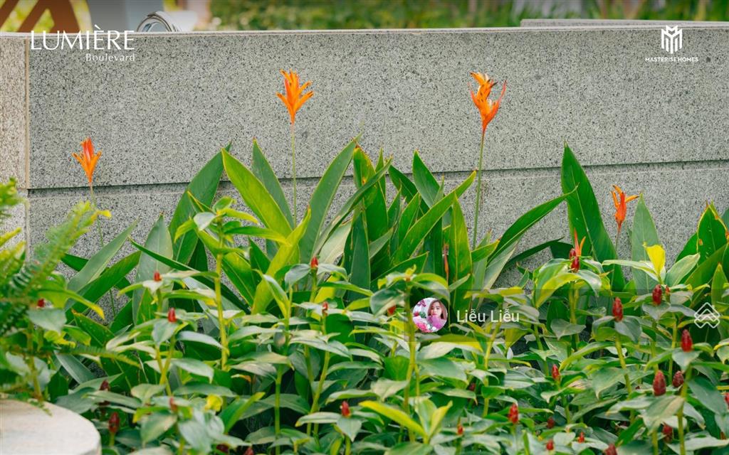 Gia đình trẻ tìm căn hiếm 2pn 4,4 tỷ full chi phí, sống xanh chuẩn cao cấp tại lumière boulevard
