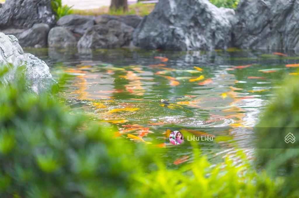 Căn hộ 2pn+1 origami giá gốc ck sốc 12,5 lượng vàng còn chỉ 3,573 tỷ phù hợp mua ở lẫn đầu tư