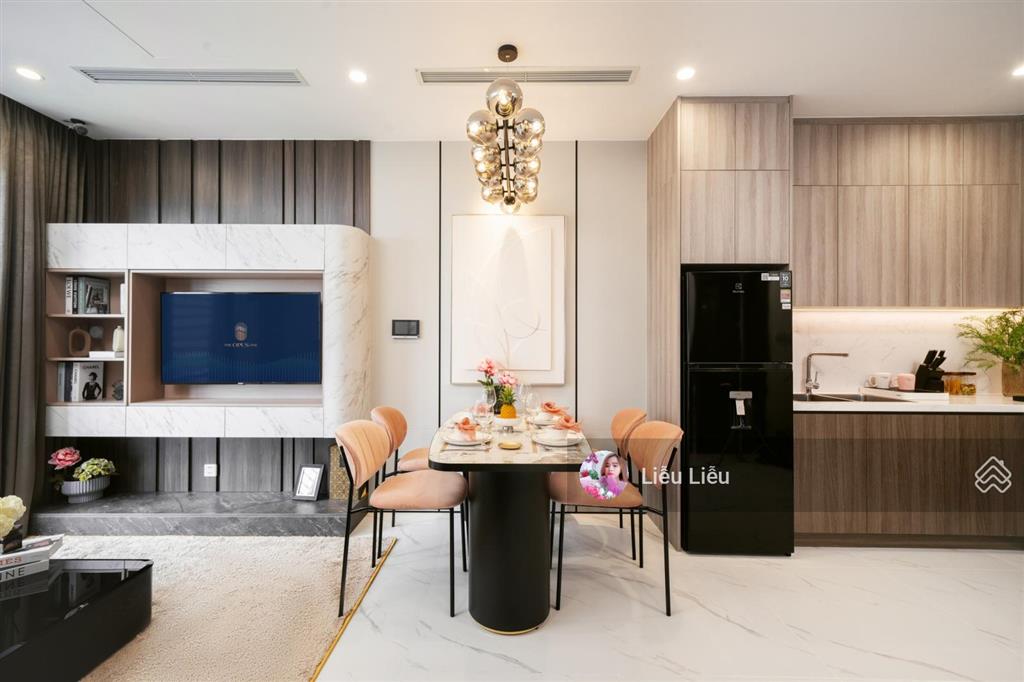 Căn hộ 1pn+ the opus one giải pháp an cư cho gia đình trẻ cơ hội đầu tư cho thuê hấp dẫn tích sản