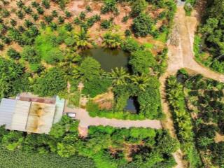 Đất view núi chứa chan cách sân bay long thành 60km thích hợp xây dựng nhà nghỉ dưỡng chỉ 1,5tr/m2