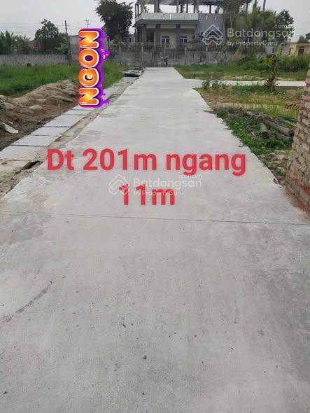 Cần bán gấp lô đất 200m ngang 11m minh tân kiến thụy hải phòng