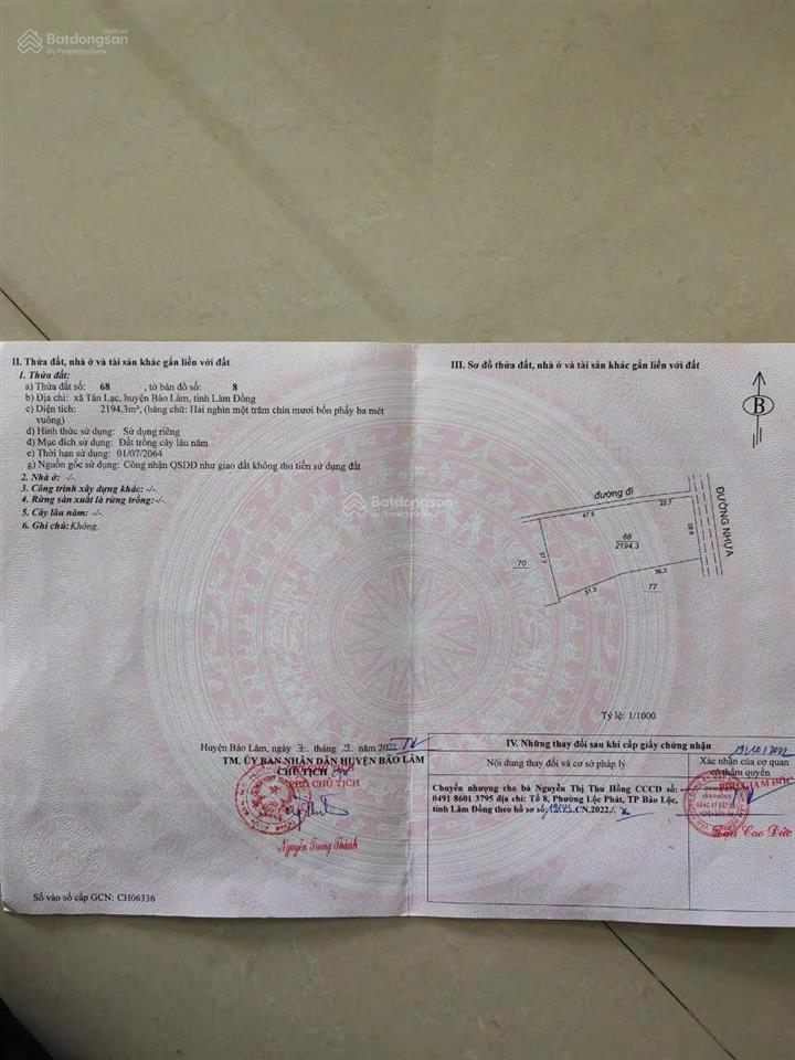 Bán đất tân lạc bảo lâm lâm đồng