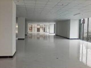 Cần cho thuê sàn vp cực đẹp tại chung cư d2 giảng võ dt 200m2 750m2 giá hấp dẫn chỉ 110nghìn/m2/th