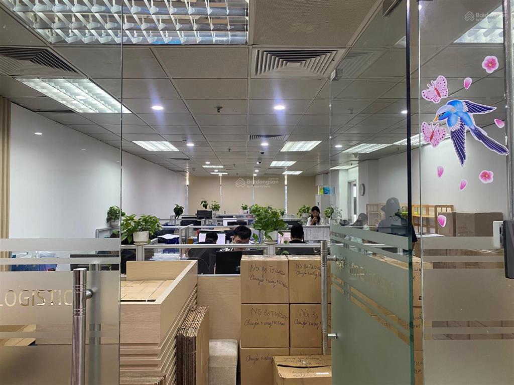 Cho thuê vp ladeco building 266 đội cấn, ba đình. dt 100m2, 158m2, 500m2, 780m2 giá 110k/m2/tháng