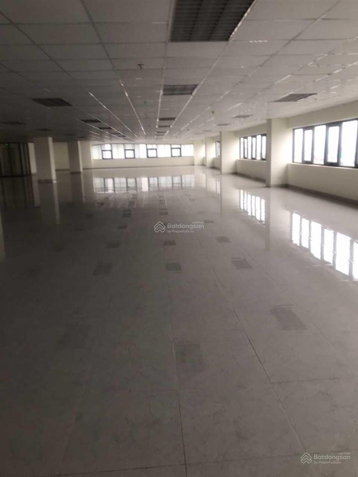 Cho thuê tòa terra 83 hào nam  ô chợ dừa, giá ưu đãi chỉ 220k/m2/th