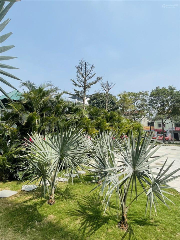 Cho thuê tòa văn phòng moonlight với các dt 986,76m2 giá chỉ 300k/m2/th