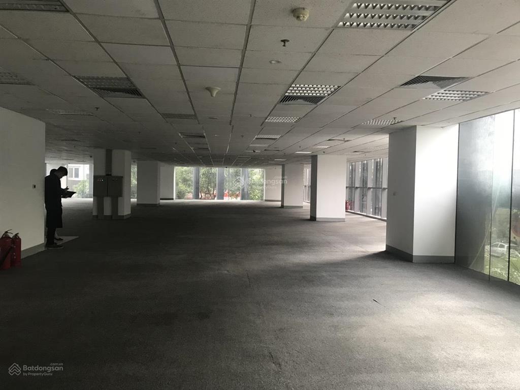 Cho thuê văn phòng cầu giấy diện tích 250m2, phát tài phát lộc