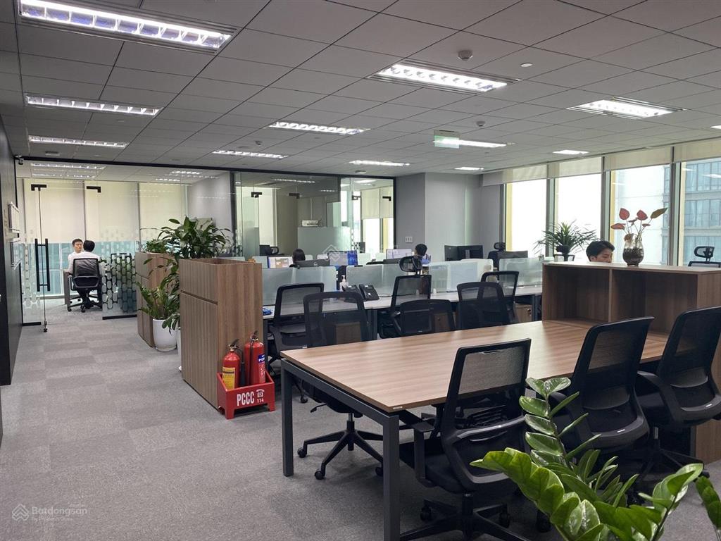 Cho thuê văn phòng cầu giấy diện tích 250m2, phát tài phát lộc