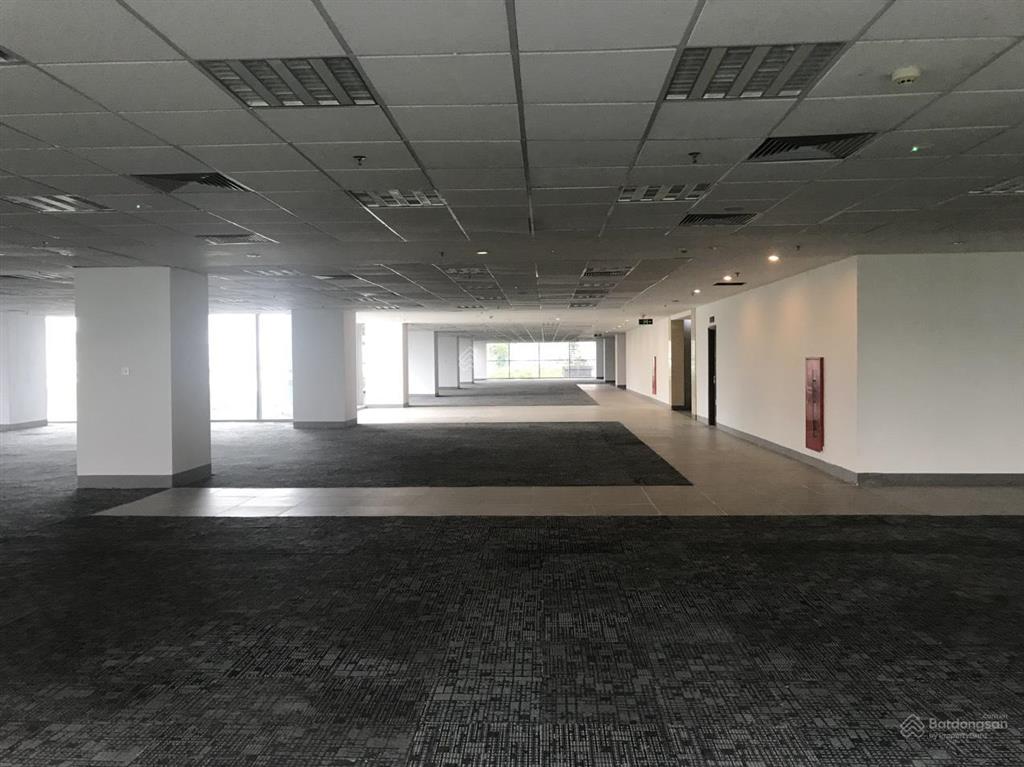 Cho thuê văn phòng cầu giấy diện tích 250m2, phát tài phát lộc