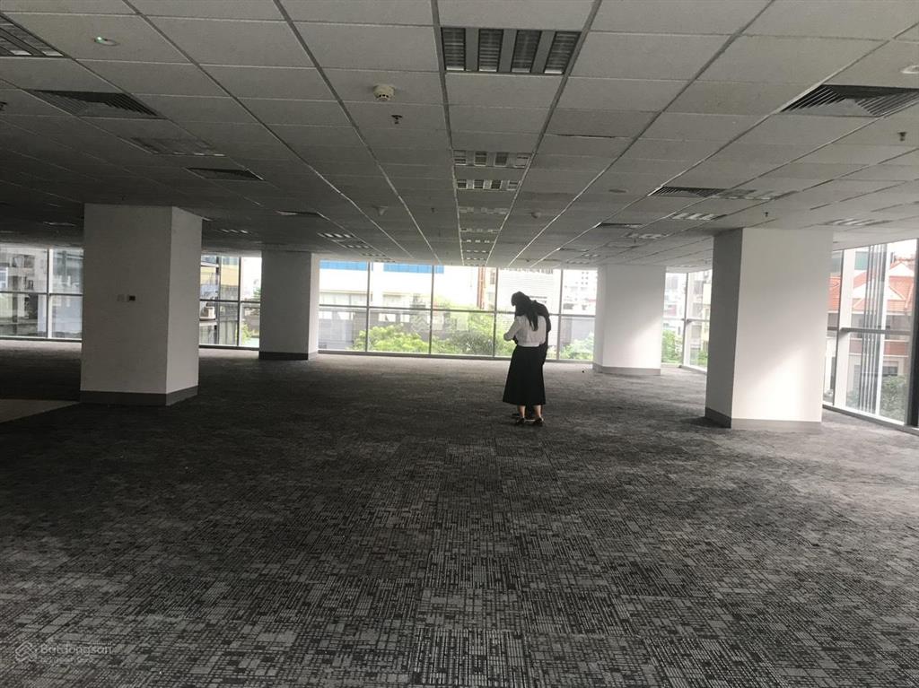 Bql chính chủ cho thuê văn phòng hong kong tower diện tích linh hoạt 1000m², giá ưu đãi chỉ 380k/m2