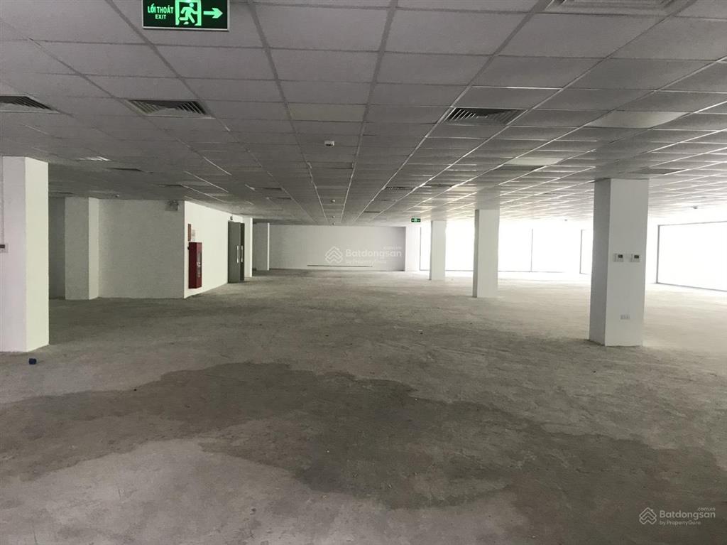 Bql chính chủ cho thuê văn phòng hong kong tower diện tích linh hoạt 1000m², giá ưu đãi chỉ 380k/m2