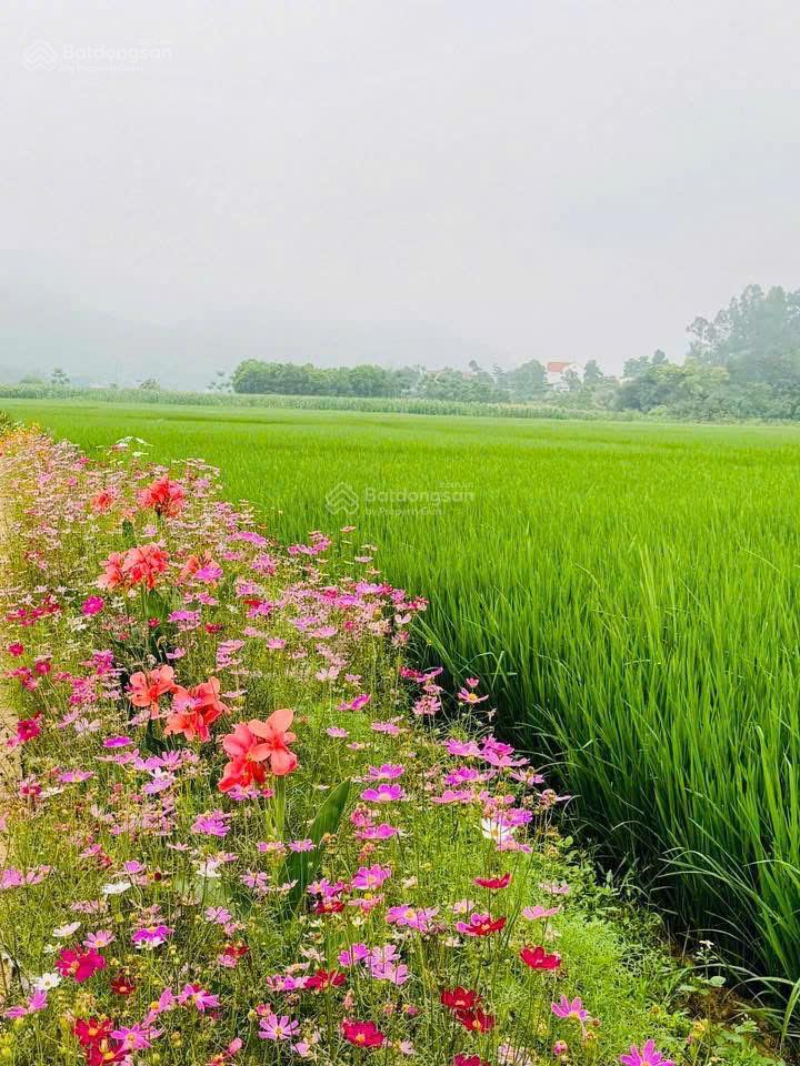 Bán lô đất 890m2 cách ql21a 50m tại lương sơn, đường 8m